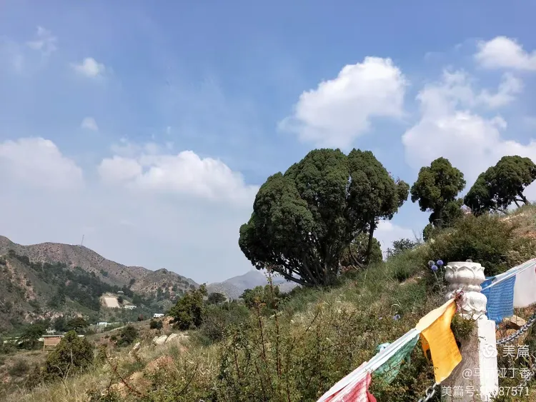 2020年7月23日五当召(包头石拐)